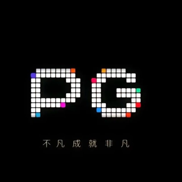 PG验证器